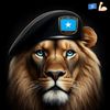 wll.axmed056