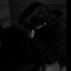 slmefdy23