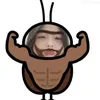 xaunhatthegiooi