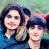 nafid..gull