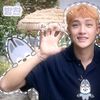 shermie_stray1