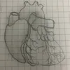 mr_wawa1717