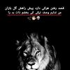 user8556945187814