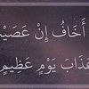 cilmicabdi493