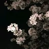 squeeeze5
