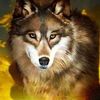 lobo48687