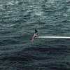 farah_t12