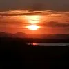 papimari7