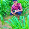 user5479591830521
