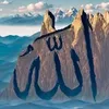 user8774521248610
