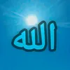 hamay_haji776