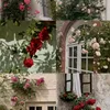 zienab.mohamed91
