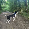 ragenandhislittlelife