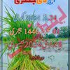 shahidiqbal56851
