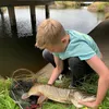 levivissen