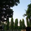 fahmii386