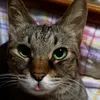 user8119439521908