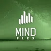 mind.flex2