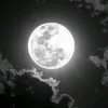 moon.0902