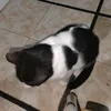 albert_34_ss7_0