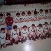 paris.wahib