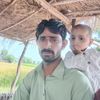 shaukatali1249