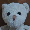 kuya.teddy
