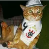 meww199