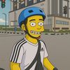 alhfs11
