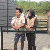 zaaaneww01