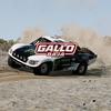 gallo_baja