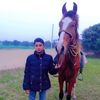 haqeeqt1234
