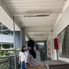 zin_g