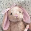 adipa_jibb