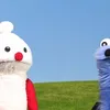 gtmzisnsusj