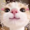 mir.for_mirza