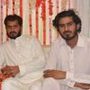 tlp.is.brand