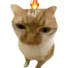 meyyy326