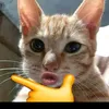 pisahboy