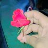 slyman626