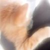 nickfrmdmv_