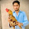 awais.khan...2317724