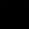 ppp27117