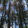 ruang_galau470
