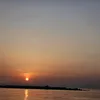 alex_in_wonderlandia