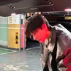 kaaziyu_