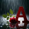 user8137009160961