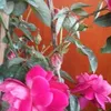 huong.pham7318