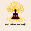 Đạo Tràng Học Phật