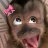 owenleilei4ever1